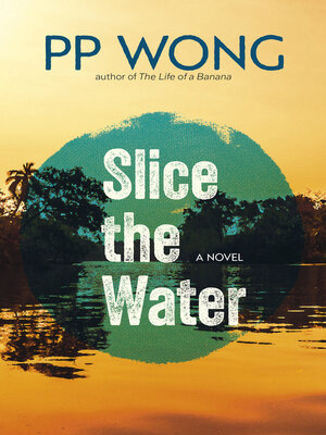 cover image of Slice the Water